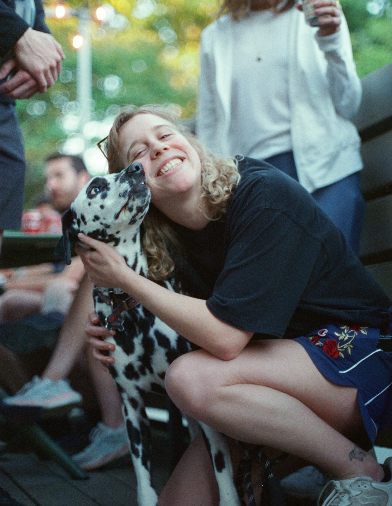 A dog saying hello after the run